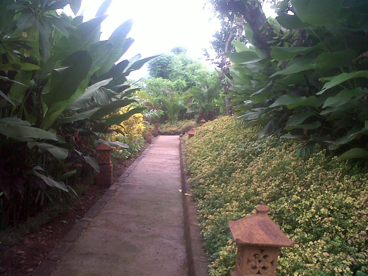 Eliska Sari Bungalows Sumberkima Pemuteran Exterior foto
