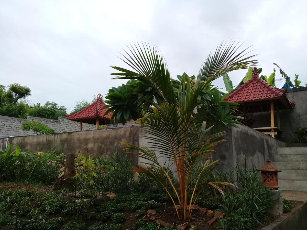 Eliska Sari Bungalows Sumberkima Pemuteran Exterior foto