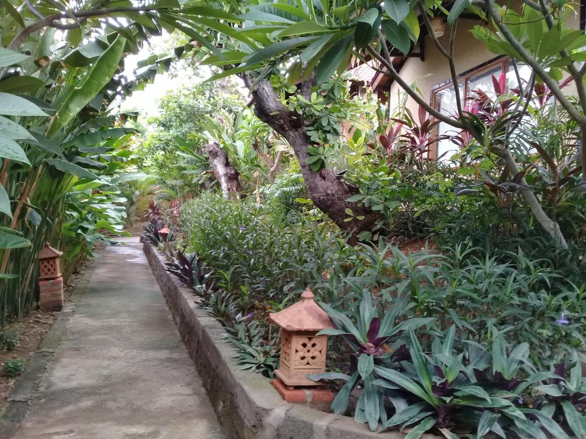 Eliska Sari Bungalows Sumberkima Pemuteran Exterior foto